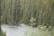 146 - Maligne Canyon, Medicine Lake, Maligne Lake - IMG_1231